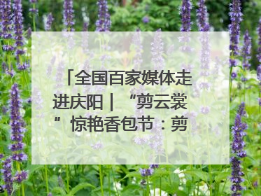 全国百家媒体走进庆阳｜“剪云裳”惊艳香包节：剪纸跃上华服 非遗焕发新彩